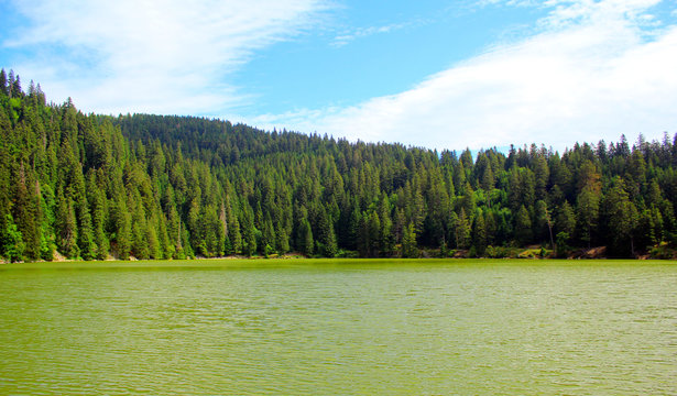 le lac vert dans le macif des vosges en france