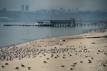 Deniz köskü Istanbul