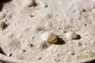 Sourdough bread proofing in a basket with visible gas bubbles. Homemade baking.
