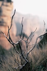 Nature. Beauty. Art.