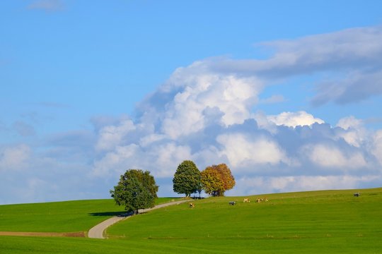 Country road through meadow landscape, cloudy sky, Munsing, Funfseenland, Upper Bavaria, Bavaria, Germany, Europe