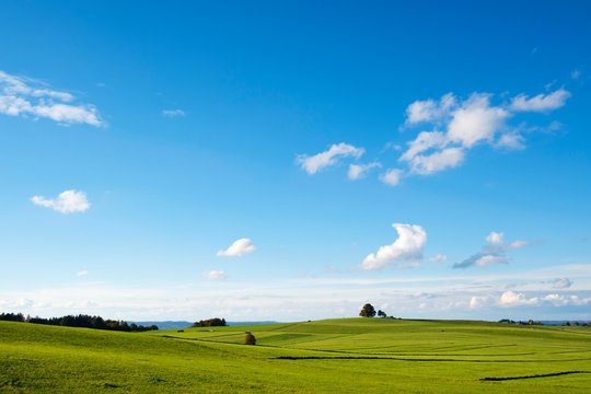 Meadows, Furstenberg in Munsing, Funfseenland, Upper Bavaria, Bavaria, Germany, Europe