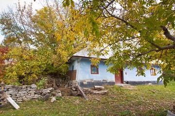 Fototapeta na wymiar small, traditional old country house, walnut tree in abandoned yard, cloudy autumn day, green ecological tourism