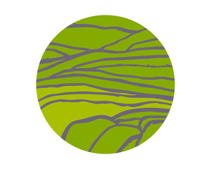 Vector rice or tea plantation on cascades field