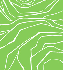 Vector rice or tea plantation on cascades field