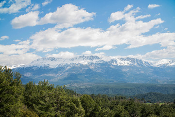 the mountain in the snow