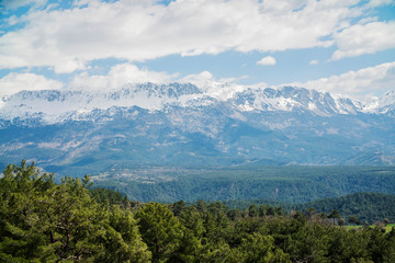 Fototapeta premium the mountain in the snow