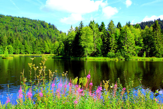 le lac du lispach dans les vosges