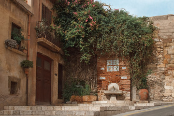 Fototapeta na wymiar old Spanish house decorated with a flowering tree, near an ancient faucet and water bowl