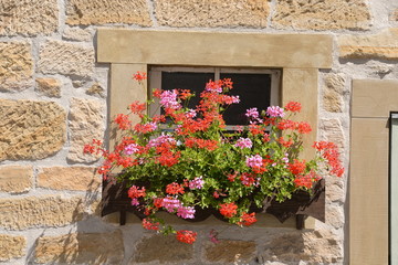 Fototapeta na wymiar Blumenfenster