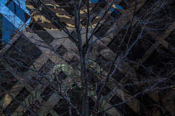 Chicago city urban street architecture