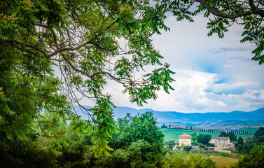 tree branches and an Italian village in Tuscany