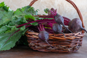 Fresh beetroots in basket, organic beets with leaves