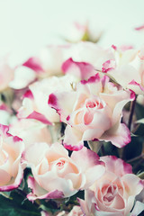 Bouquet of beautiful white pink roses