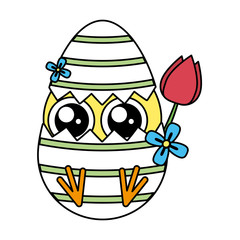 cute little chick with shell egg broken and rose