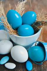 Easter colored eggs in egg nest cup, soft focus image. Happy Easter Card