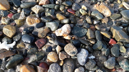 20190315_082830.jpg