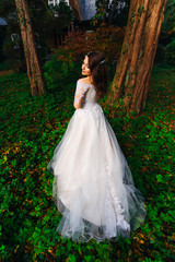 Fototapeta premium girl in a chic white wedding dress with a hairstyle near the tre