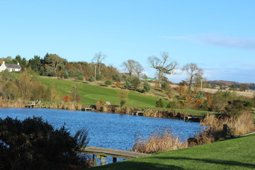 landscape with lake and trees