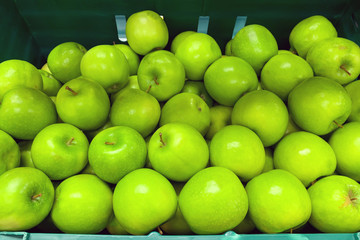 A pile of green apples as background, texture (Granny Smith)