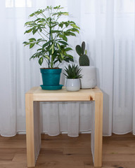 Flower pots on wooden table