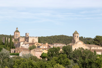 Fototapeta premium Monastery of Santa Maria de Santes Creus, Tarragona, Catalonia, Spain
