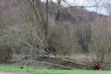 Après la tempête