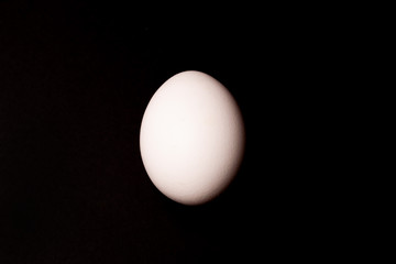White egg on black background.