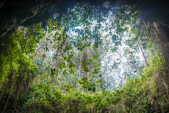 Rwanda, Virunga National Park, view from cave