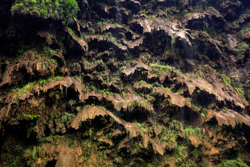 Moss Growing on Slippery Brown Rocks - Wet Slick Surfaces, small waterfall with water slowly trickling over bumpy rock wall, slowly eroding surface with interesting patterns. Green Moss, Brown Rocks.