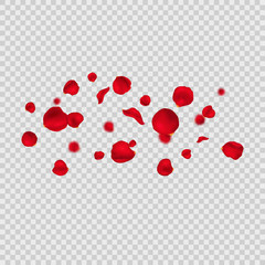 Realistic Detailed 3d Red Rose Petals Set on a Transparent Background. Vector