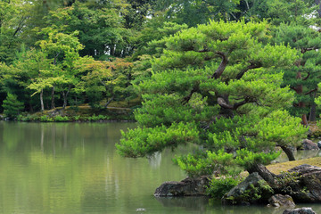 Fototapeta na wymiar Zen garden, Kinkaku-ji, Temple of the Golden Pavilion, Kyoto, Japan 