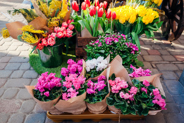 Flower market. Spring flowers in boxes and buckets ready for sale. Tulips. Mother's day present
