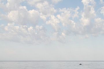 blue sky with clouds
