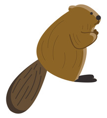 A brown beaver, vector color illustration.
