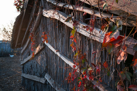 Old farm, Comuna C.A. Rosetti, Tulcea, Danube Delta, UNESCO WORLD HERITAGE, Tulcea County, Romania, Europe