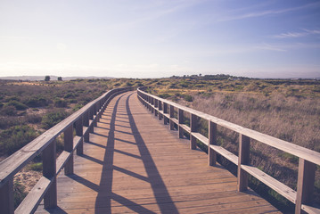 Fototapeta premium Beach boardwalk