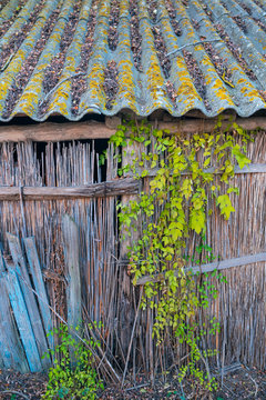 Old farm, Comuna C.A. Rosetti, Tulcea, Danube Delta, UNESCO WORLD HERITAGE, Tulcea County, Romania, Europe