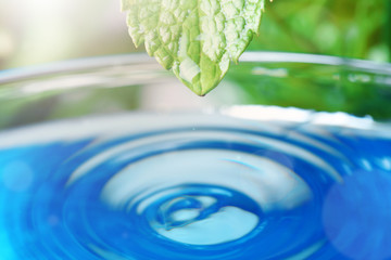 Beautiful green leaf with water drop on blue background, closeup. Space for text
