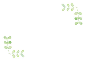 Watercolor  hand drawn  herbs  leaves（1）