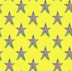 A green star on a yellow background with the drawn heart with the sign of sex,seamless background.