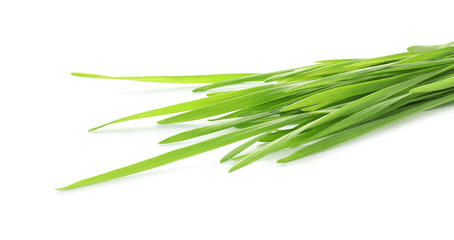 Fototapeta premium Green organic wheat grass on white background