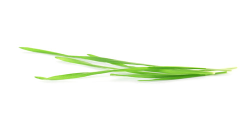 Fototapeta premium Green organic wheat grass on white background