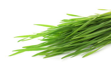 Fototapeta premium Green organic wheat grass on white background