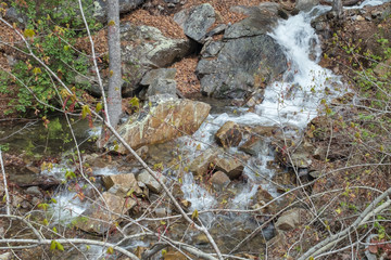 stream in forest