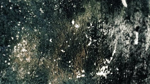 Grunge background dolly shot