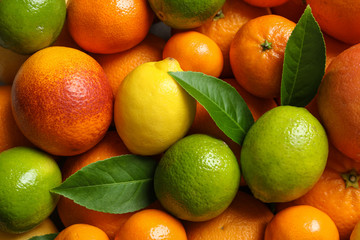 Different citrus fruits as background, top view