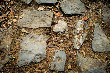 Fondo camino de piedras en bosque