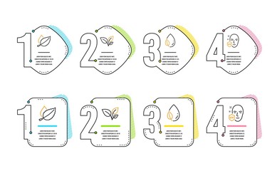 Leaves, Leaf dew and Mint leaves icons simple set. Uv protection sign. Grow plant, Water drop, Mentha herbal. Ultraviolet. Healthcare set. Infographic timeline. Line leaves icon. 4 options or steps