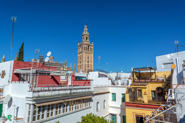 Seville Cathedral and Buildings